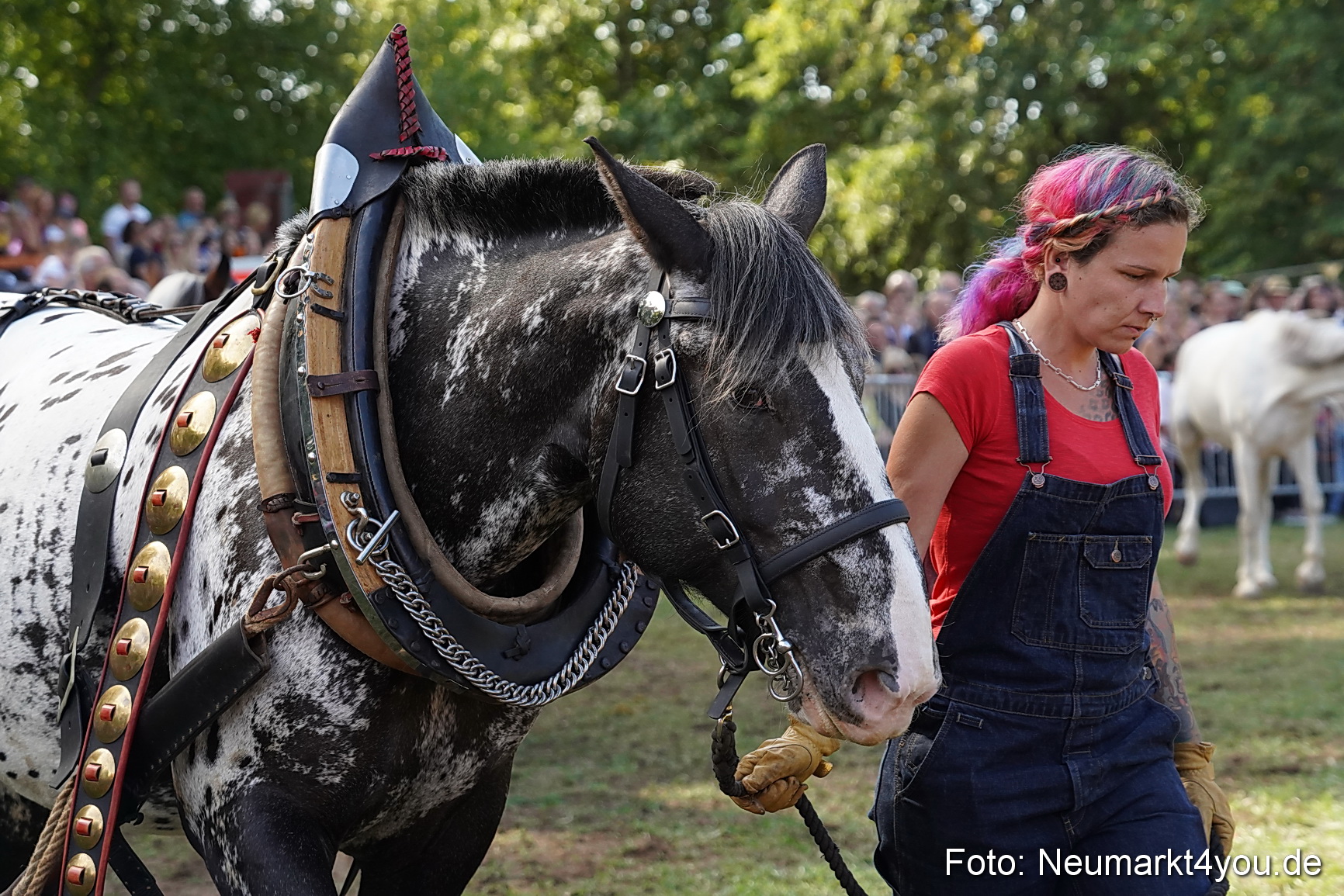 Pferde und Fohlenschau 2022 0163 